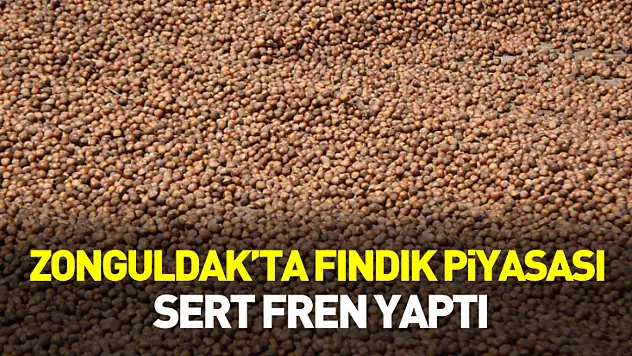 Zonguldak'ta Fındık Piyasası Sert Fren Yaptı: İlçelerde Rakamlar Yeniden Şekillendi