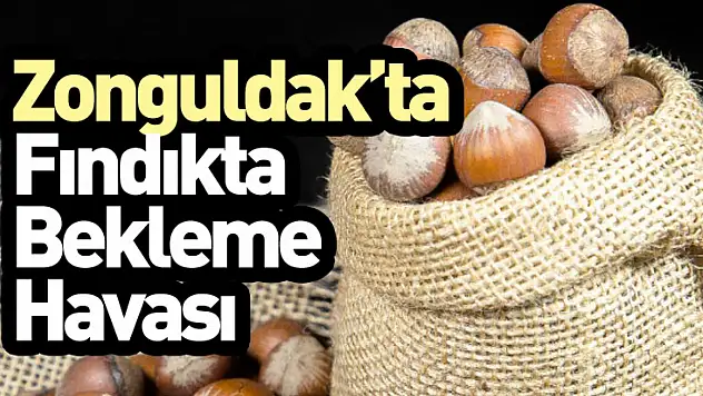 Zonguldak'ta Fındıkta Bekleme Havası:
