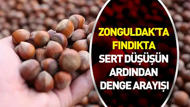 27 Ocak 2026 Zonguldak'ta Fındık Fiyatı | İlçeleriyle birlikte güncel fiyatlar