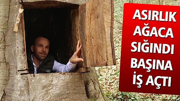 Çürümüş Ağaç içinde çektiği video gündem oldu