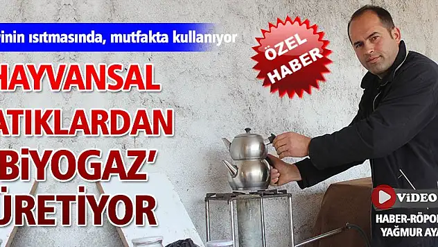 Hayvansal atıklardan 'biyogaz' üretti