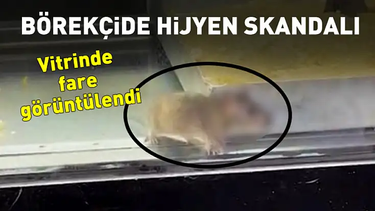 Börekçide hijyen skandalı: Vitrinde fare görüntülendi