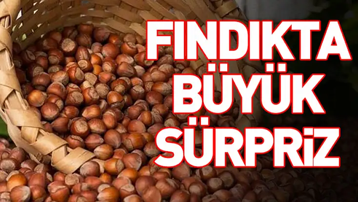 Türkiye’nin Fındık İhracatında İlk 3 Ay Verileri Açıklandı