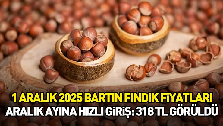 1 Aralık 2025 Bartın Fındık Fiyatları | Aralık Ayına Hızlı Giriş: 318 TL Görüldü