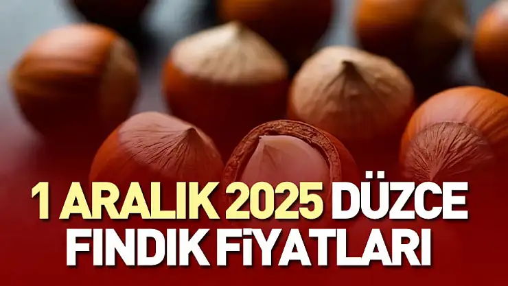 1 Aralık 2025 Düzce Fındık Fiyatları | Sessiz Ama Güçlü Yükseliş