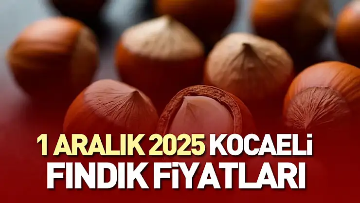 1 Aralık 2025 Kocaeli Fındık Fiyatları | Kalite Yarışı Piyasayı Yukarı Çekiyor
