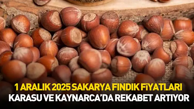 1 Aralık 2025 Sakarya Fındık Fiyatları | Karasu ve Kaynarca'da Rekabet Artıyor