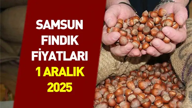 1 Aralık 2025 Samsun Fındık Fiyatları | Kritik Haftaya Güçlü Başlangıç: 315 TL Sinyali Verildi