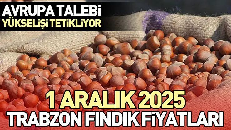 1 Aralık 2025 Trabzon Fındık Fiyatları