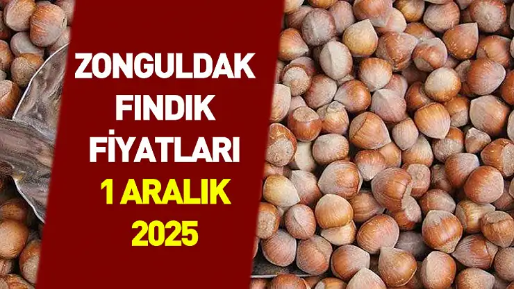 1 Aralık 2025 Zonguldak Fındık Fiyatları | Dar Bantta Tırmanış Devam Ediyor