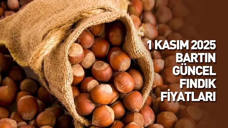 1 Kasım 2025 Bartın Güncel Fındık Fiyatları: Kasım Ayı Sakin Başladı