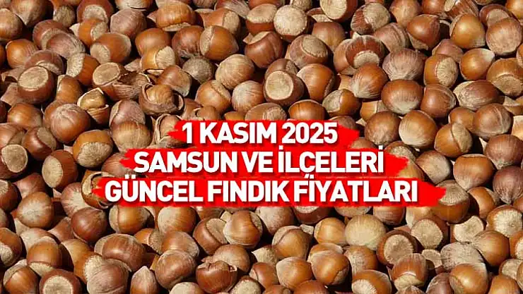 1 Kasım 2025 Samsun Güncel Fındık Fiyatları: Kasım Ayı Umutlu Başladı, Fiyatlar Yükselişte