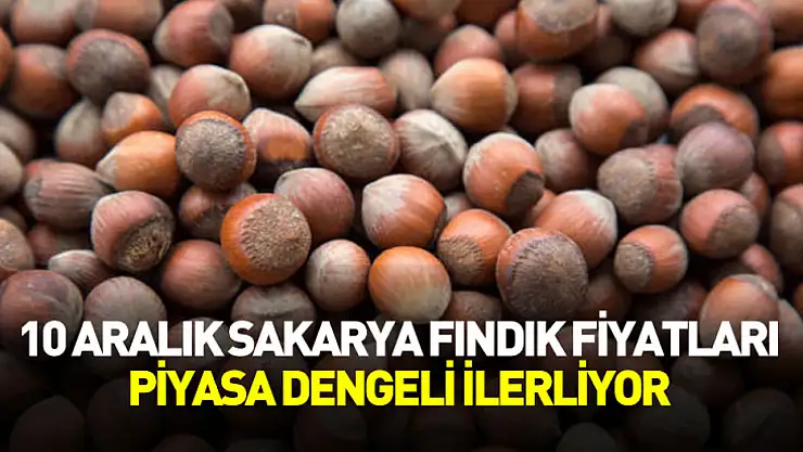 10 Aralık Sakarya Fındık Fiyatları | Piyasa Dengeli İlerliyor