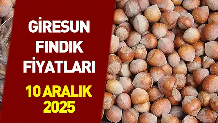 10 Aralık Trabzon Fındık Fiyatları | Hafta Ortasında Güçlü Seviye Korunuyor