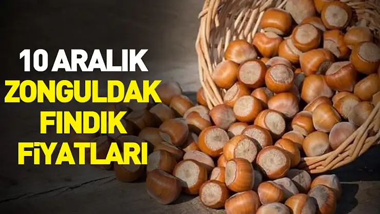 10 Aralık Zonguldak Fındık Fiyatları | Hafta Ortası Bekleyişi Sürüyor