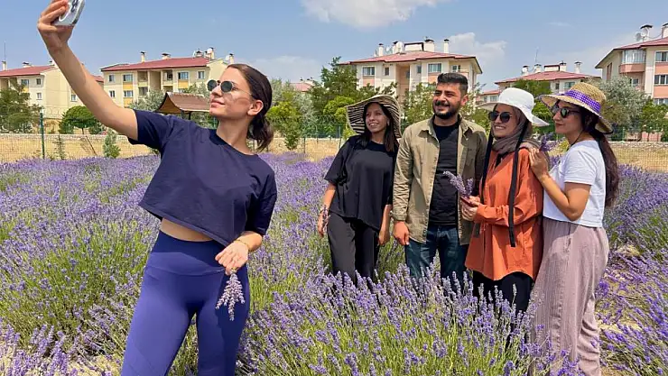 10 yılda 300 tür bitki yetiştirildi