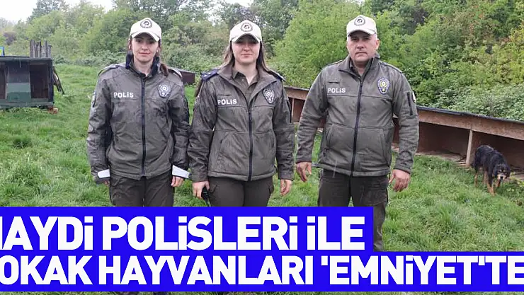 HAYDİ polisleri ile sokak hayvanları 'emniyet'te