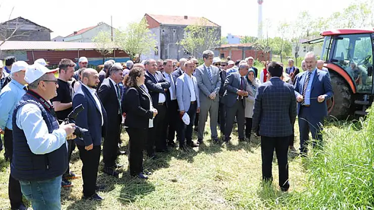 19 Mayıs ilçesinde yem bitkileri tarla günü etkinliği yapıldı