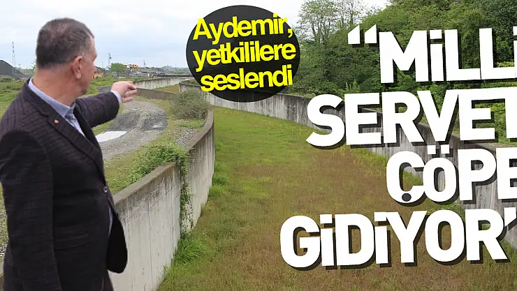 'MİLLİ SERVET ÇÖPE GİDİYOR'