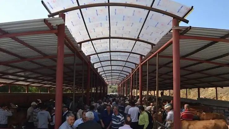 Asarcık Hayvan Pazarı açıldı