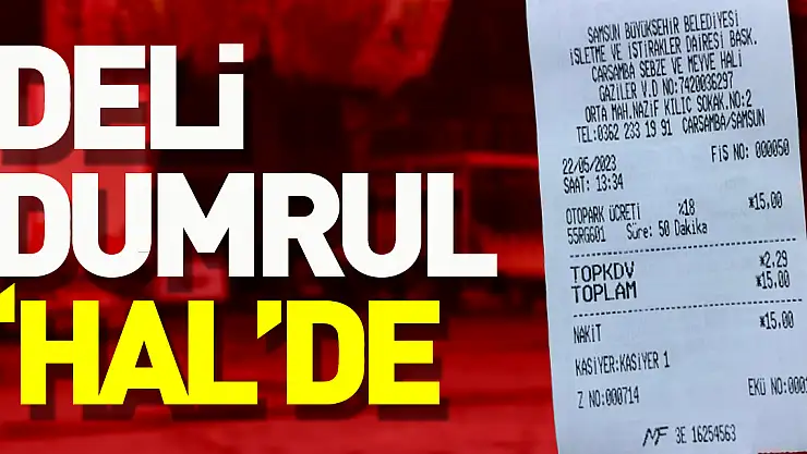 DELİ DUMRUL,  HAL'E ÇÖREKLENMİŞ
