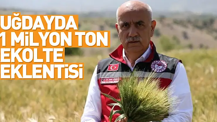 Bakan Kirişci: Buğdayda beklenen 21 milyon ton rekolte Türkiye'nin ihtiyacının karşılanması noktasında yeterli