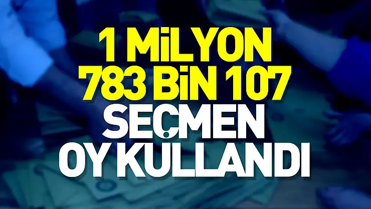 Yurt dışı temsilciliklerinde 1 milyon 783 bin 107 seçmen oy kullandı