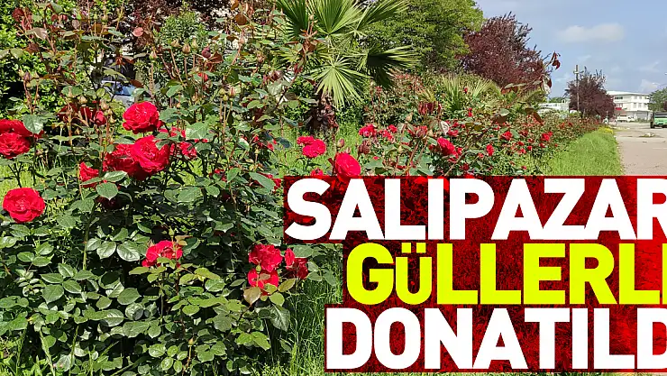 Salıpazarı Belediyesi, peyzaj çalışmaları kapsamında ilçeyi güllerle donattı