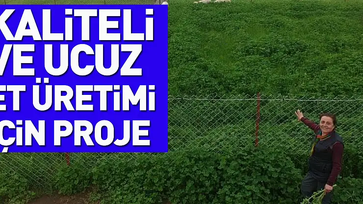 Akademisyenlerden kaliteli ve ucuz et üretimi için proje