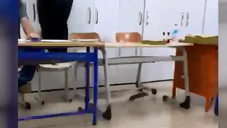 Oy kullanılan bir sınıfa fare girdi