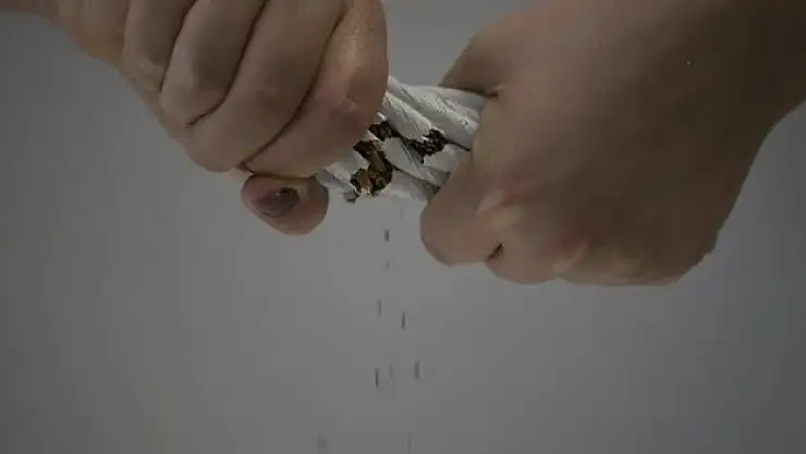 Tütünün doğada yarattığı zarar çevrim içi etkinlikle anlatıldı