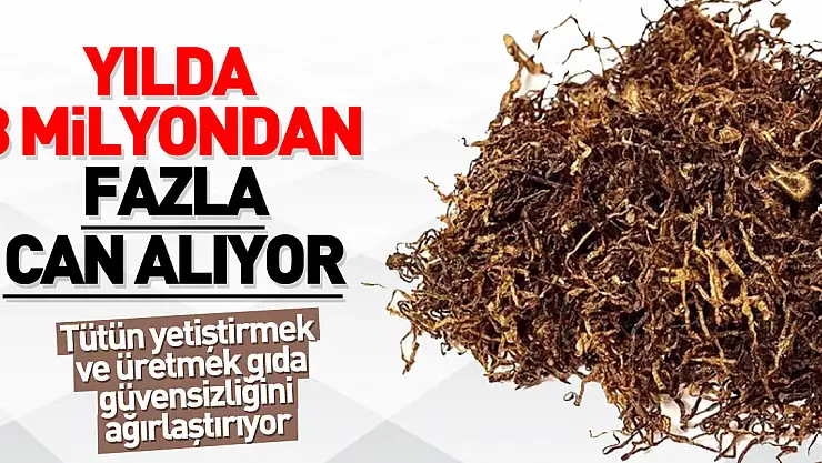 Dünya Sağlık Örgütüne göre, tütün yetiştirmek ve üretmek gıda güvensizliğini ağırlaştırıyor