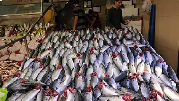 Samsun'da palamut ucuzladı, mezgit pahalandı