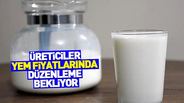 Süt üreticileri regülasyondan memnun, yem fiyatlarında düzenleme bekliyor