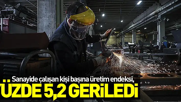 Sanayide çalışan kişi başına üretim endeksi, ilk çeyrekte yıllık yüzde 5,2 geriledi