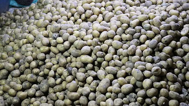 Mayısta fiyatı en fazla artan ürün 'patates ve bazı yumru bitkiler', en fazla düşen 'doğal gaz' oldu