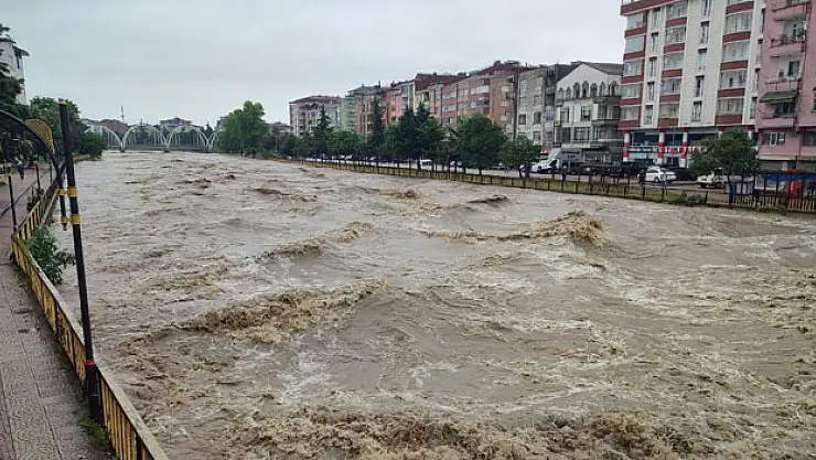Terme Çayı'nda korkutan görüntü