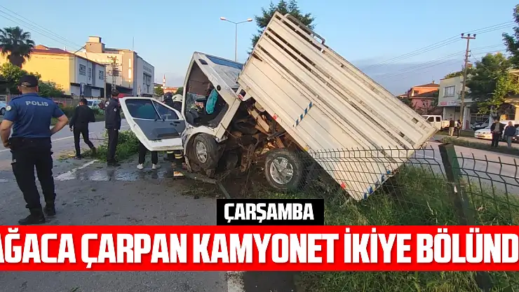 Ağaca çarpan kamyonet ikiye bölündü