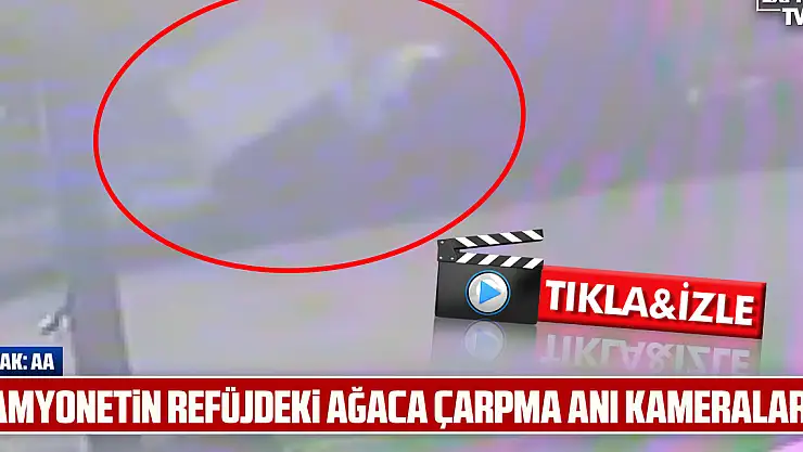 kamyonetin refüjdeki ağaca çarpması sonucu 2 kişi yaralandı