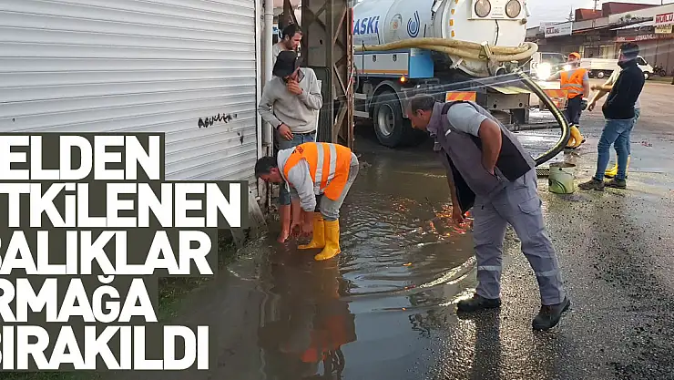 Samsun'da selden etkilenen balıklar ırmağa bırakıldı