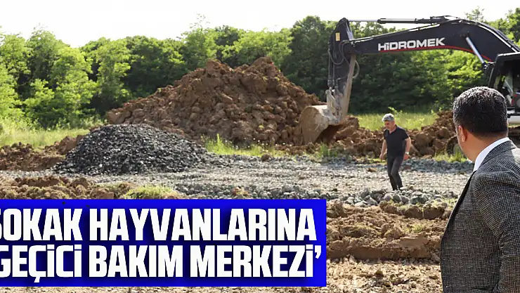 SOKAK HAYVANLARINA  'GEÇİCİ BAKIM MERKEZİ'