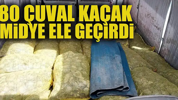 Samsun'da deniz polisi 80 çuval kaçak midye ele geçirdi