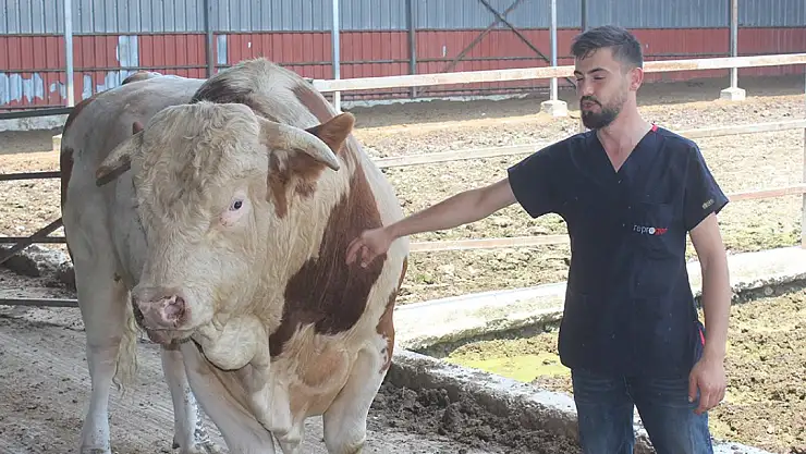 Onu gören şaşırıyor: İkinci el otomobil fiyatına alıcısını bekliyor