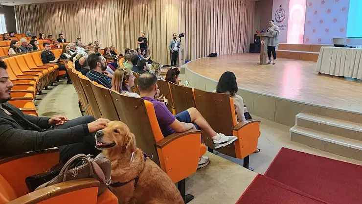 Samsun'da Hayvan Hakları Çalıştayı