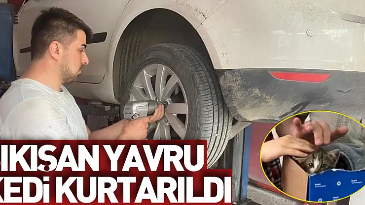 Otomobilde sıkışan yavru kedi kurtarıldı