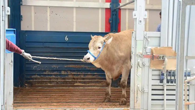 Kurban kesecekler dikkat