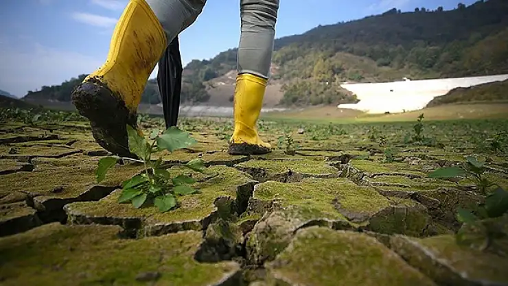 Çölleşme nedeniyle 2045 yılına kadar yaklaşık 135 milyon insan evinden olabilir