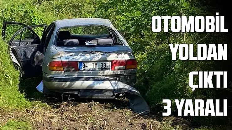 Otomobil yoldan çıktı: 3 yaralı