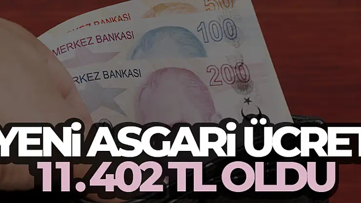 Yeni asgari ücret 11.402 TL oldu