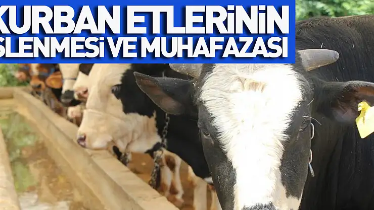 Kurban etlerinin işlenmesi ve muhafazası